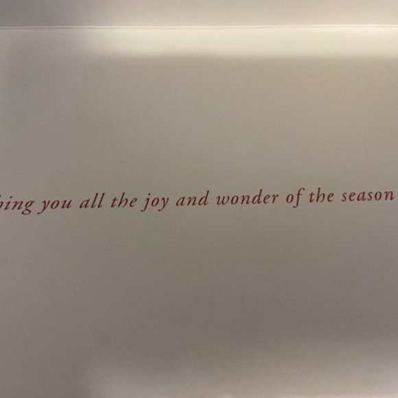 CHRISTMAS CARDS from Peter Pauper Press - Picture 3 of 4